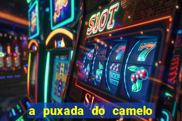 a puxada do camelo no jogo do bicho